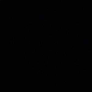 Meet your Posher, Jamari